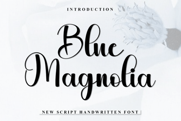 Blue Magnolia: The Friendly Typeface for Clear Campaigns