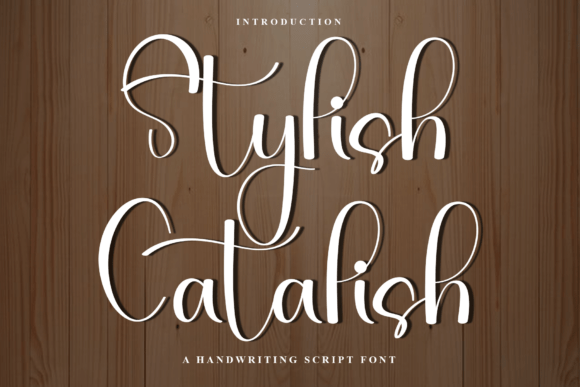 Stylish Catalish Font for Creative Projects